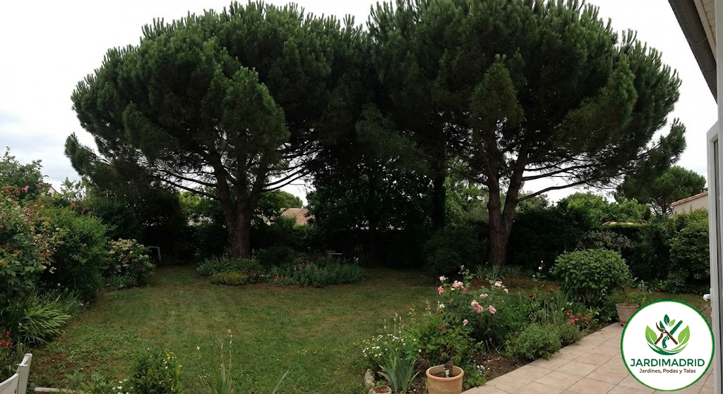 Vista de la zona exterior antes del inicio de las obras